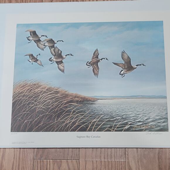 1981 Duck Stamp Press Print Pencil Signed & Numbered By Clark Sullivan 23x18 - Picture 2 of 8